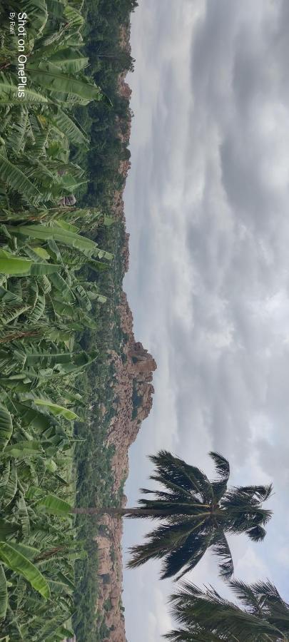 האמפי Archana Guest House River View מראה חיצוני תמונה